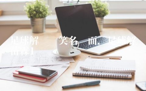 足球解说搞笑名场面,足球解说苗霖