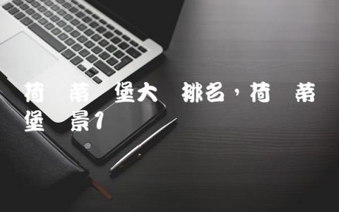 荷兰蒂尔堡大学排名,荷兰蒂尔堡风景