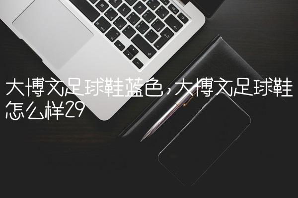 大博文足球鞋蓝色,大博文足球鞋怎么样