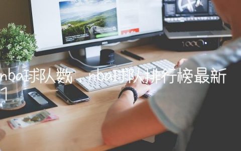 nba球队数,nba球队排行榜最新