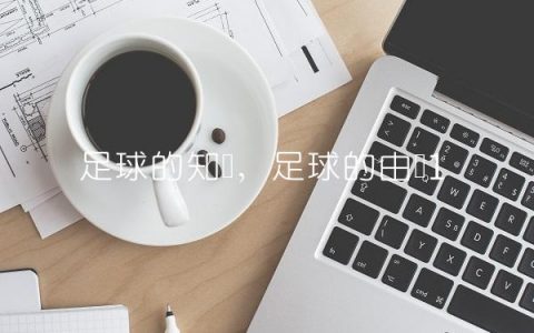 足球的知识,足球的由来