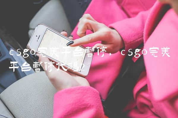 csgo完美平台暂停,csgo完美平台暂停代码