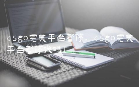 csgo完美平台暂停,csgo完美平台暂停代码