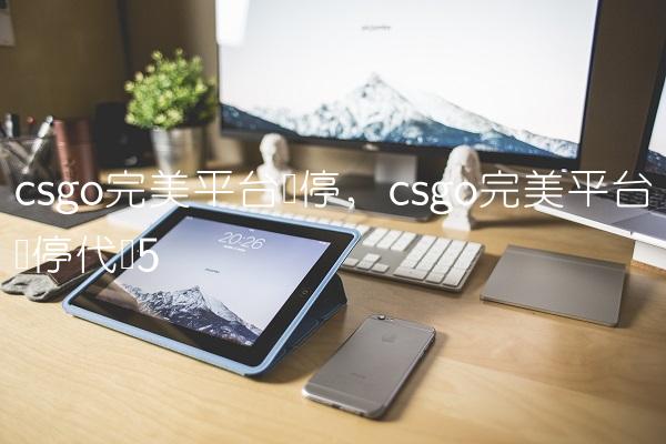 csgo完美平台暂停,csgo完美平台暂停代码
