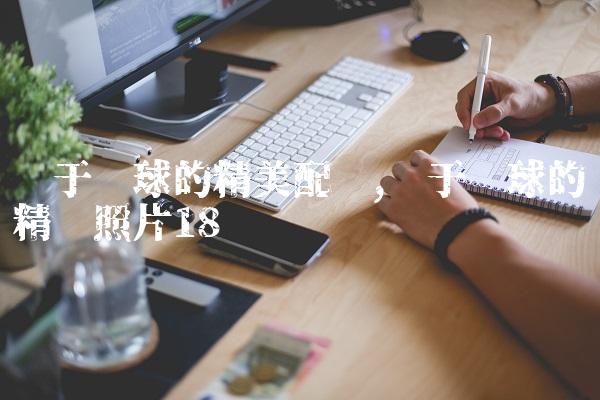 关于篮球的精美配图,关于篮球的精选照片