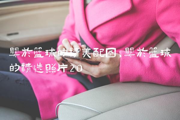 关于篮球的精美配图,关于篮球的精选照片