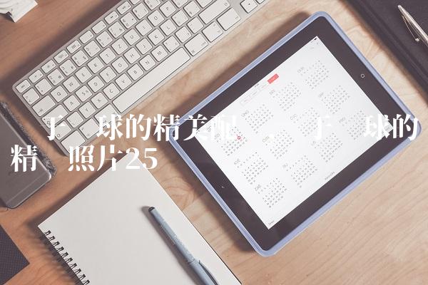 关于篮球的精美配图,关于篮球的精选照片