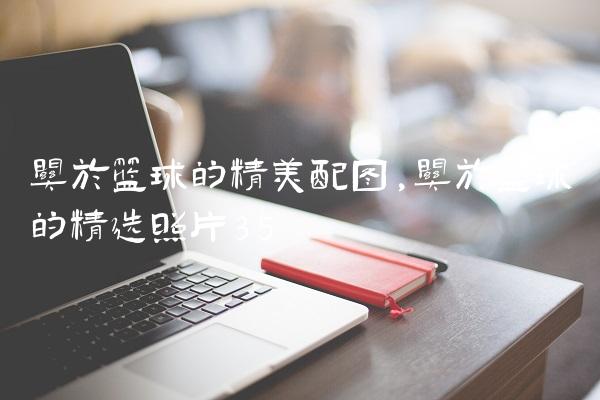 关于篮球的精美配图,关于篮球的精选照片