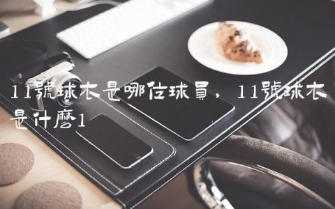 11号球衣是哪位球员,11号球衣是什么