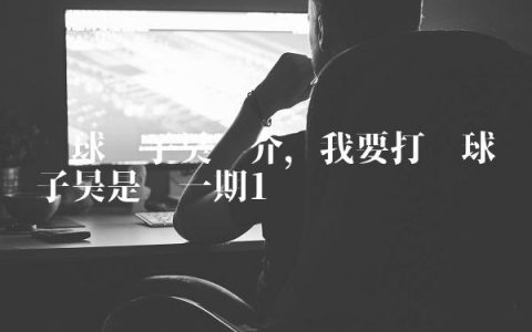 篮球张子昊简介,我要打篮球张子昊是哪一期