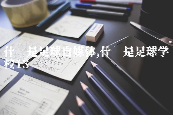 什么是足球自媒体,什么是足球学校