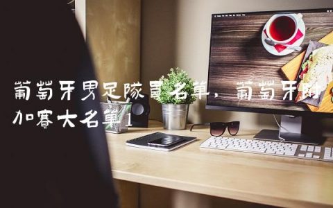 葡萄牙男足队员名单,葡萄牙附加赛大名单