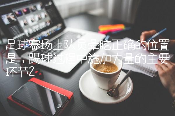 足球赛场上队员晕眩正确的位置是,踢球过程中施加力量的主要环节