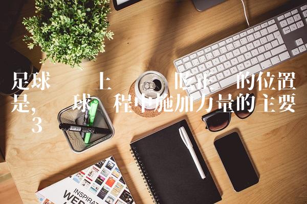 足球赛场上队员晕眩正确的位置是,踢球过程中施加力量的主要环节