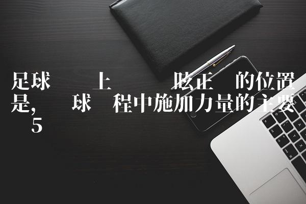 足球赛场上队员晕眩正确的位置是,踢球过程中施加力量的主要环节