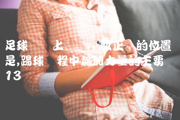 足球赛场上队员晕眩正确的位置是,踢球过程中施加力量的主要环节