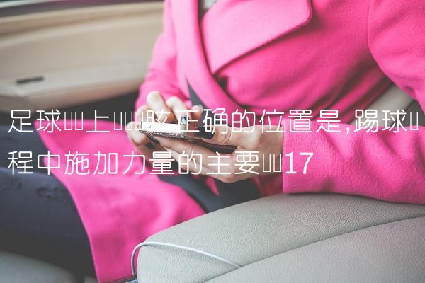 足球赛场上队员晕眩正确的位置是,踢球过程中施加力量的主要环节