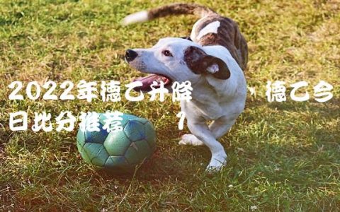 2022年德乙升降规则,德乙今日比分推荐预测