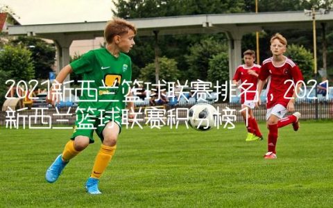 2021新西兰篮球联赛排名,2021新西兰篮球联赛积分榜