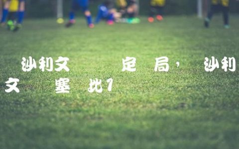 奥沙利文决赛锁定胜局,奥沙利文决胜塞尔比