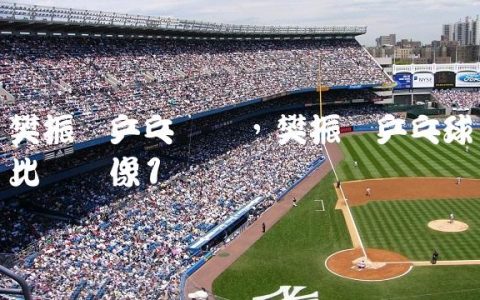 樊振东乒乓视频,樊振东乒乓球比赛录像
