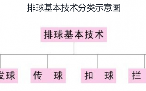 排球的基本技术（排球基本入门知识）
