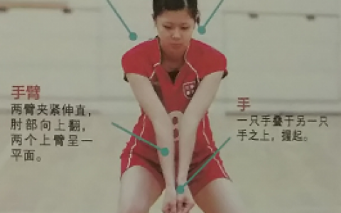 排球从入门到放弃（什么是垫球？）