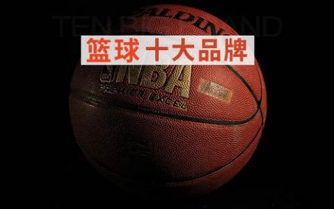 篮球的品牌排行榜（篮球十大品牌 ）