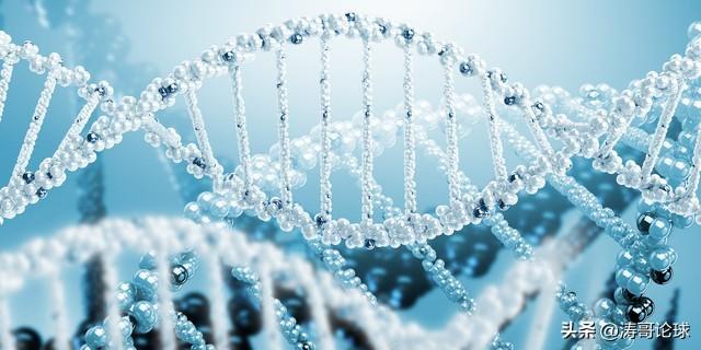 人类百米极限能到多少？（人类有望突破百米极限吗？）