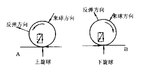 乒乓球的六种基本旋转是什么？（乒乓球的六种基本旋转特点是什么？）