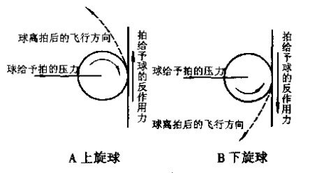 乒乓球的六种基本旋转是什么？（乒乓球的六种基本旋转特点是什么？）