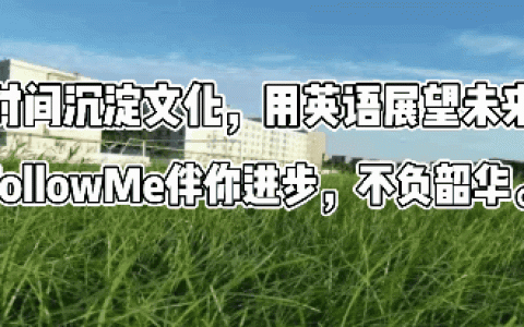 人物丨范·迪塞尔