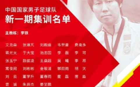 中国足球十大归化球员