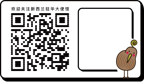 巾帼不让须眉  — 新西兰女子七人制榄球的感人故事-图12