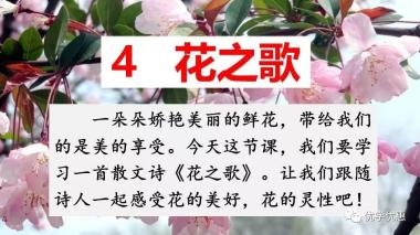 部编语文六年级第4课《花之歌》朗读+知识导学+课件教案-图4