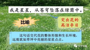 部编语文六年级第4课《花之歌》朗读+知识导学+课件教案-图14
