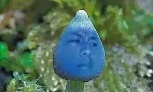 年终巨献 | 2016大事件盘点-图62