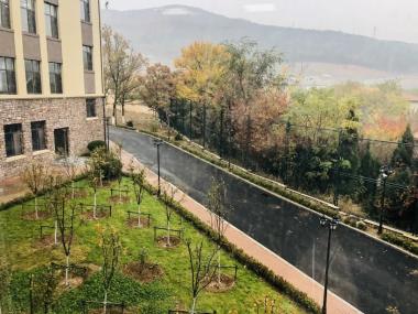 严谨治学，潜心育人——大连王府高级中学邀您共赴美好未来-图14