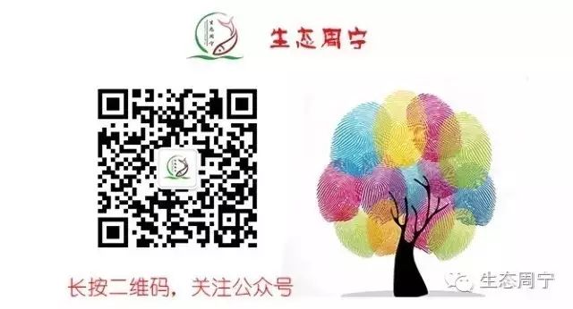 隐藏在深山的古刹——方广寺-图25