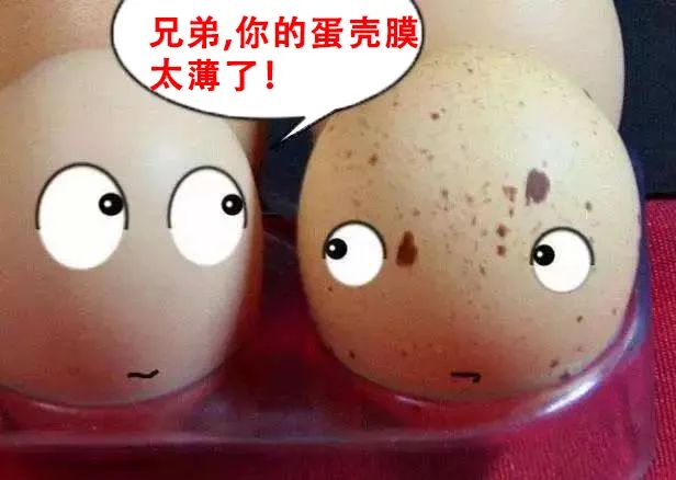 世界最美公主排行榜，第一名美到无法呼吸美到哭，堪比大牌明星-图34