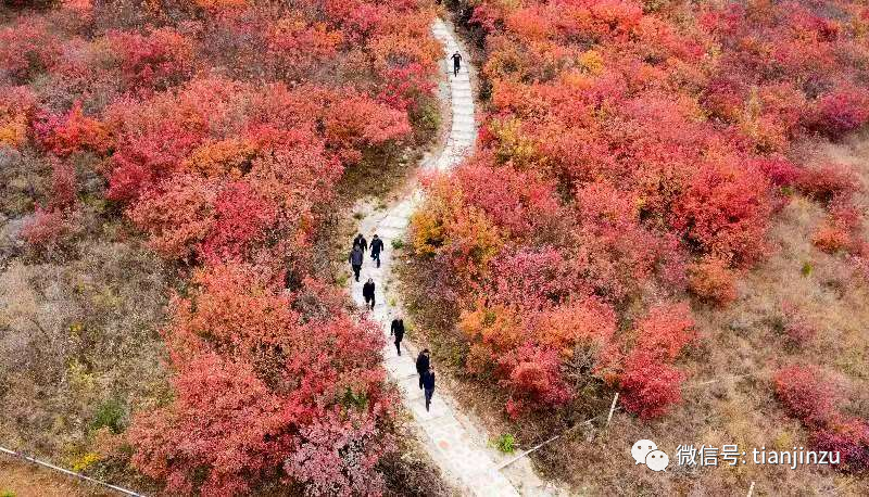 天津雪马上到！局地降温18℃！兔年首场寒潮！天津这个景区恢复运营！假期去哪玩？这份“节目单”请查收！这届春晚名场面来了！天津还有-图123