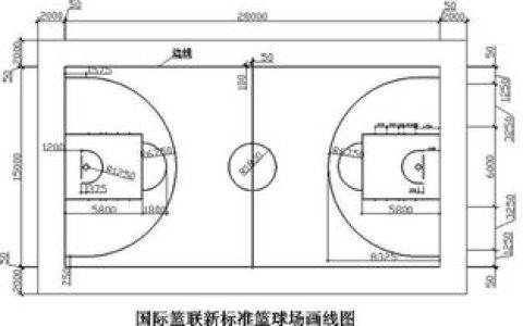 篮球场地标准尺寸面积