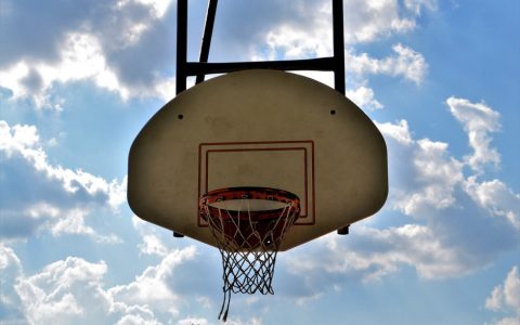 2023-2024赛季cba青岛男篮队员名单