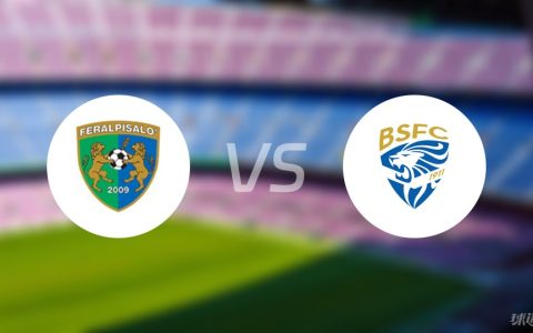 意乙比赛前瞻：费拉尔皮沙洛vs布雷西亚预测分析(2024年05月02日)