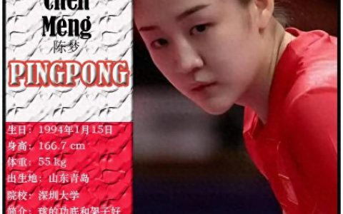 巴黎奥运会中国代表团国家队（中国乒乓球国家队）