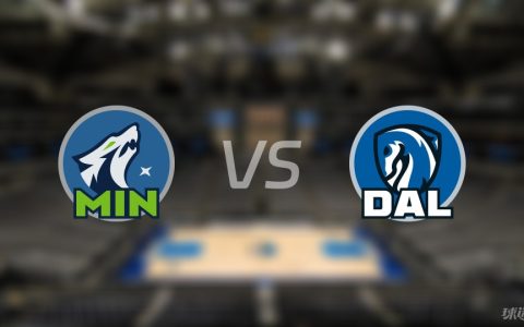 NBA季后赛：森林狼vs独行侠录像回放(2024年05月29日)