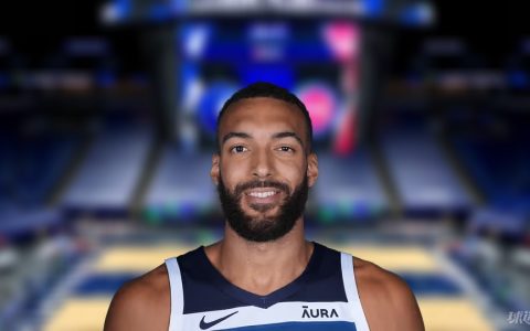 NBA每日盖帽王：戈贝尔5盖帽(2024年04月13日)