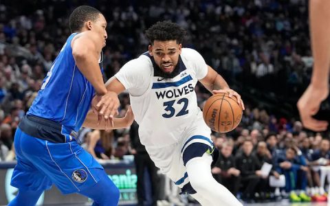 森林狼冠军数详情一览