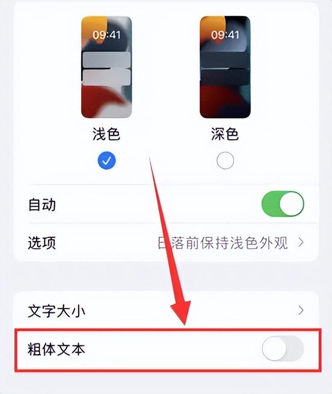 苹果手机系统大小如何调整